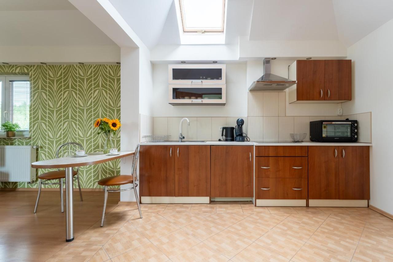 Apartament Green Hill Z Balkonem I Widokiem Na Karkonosze - Space Apart 옐레니아구라 외부 사진